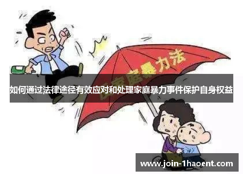 如何通过法律途径有效应对和处理家庭暴力事件保护自身权益