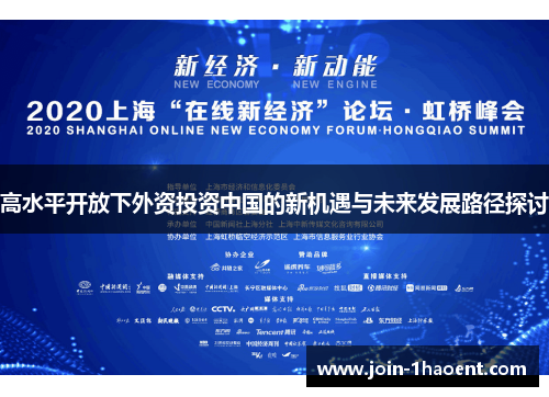 高水平开放下外资投资中国的新机遇与未来发展路径探讨